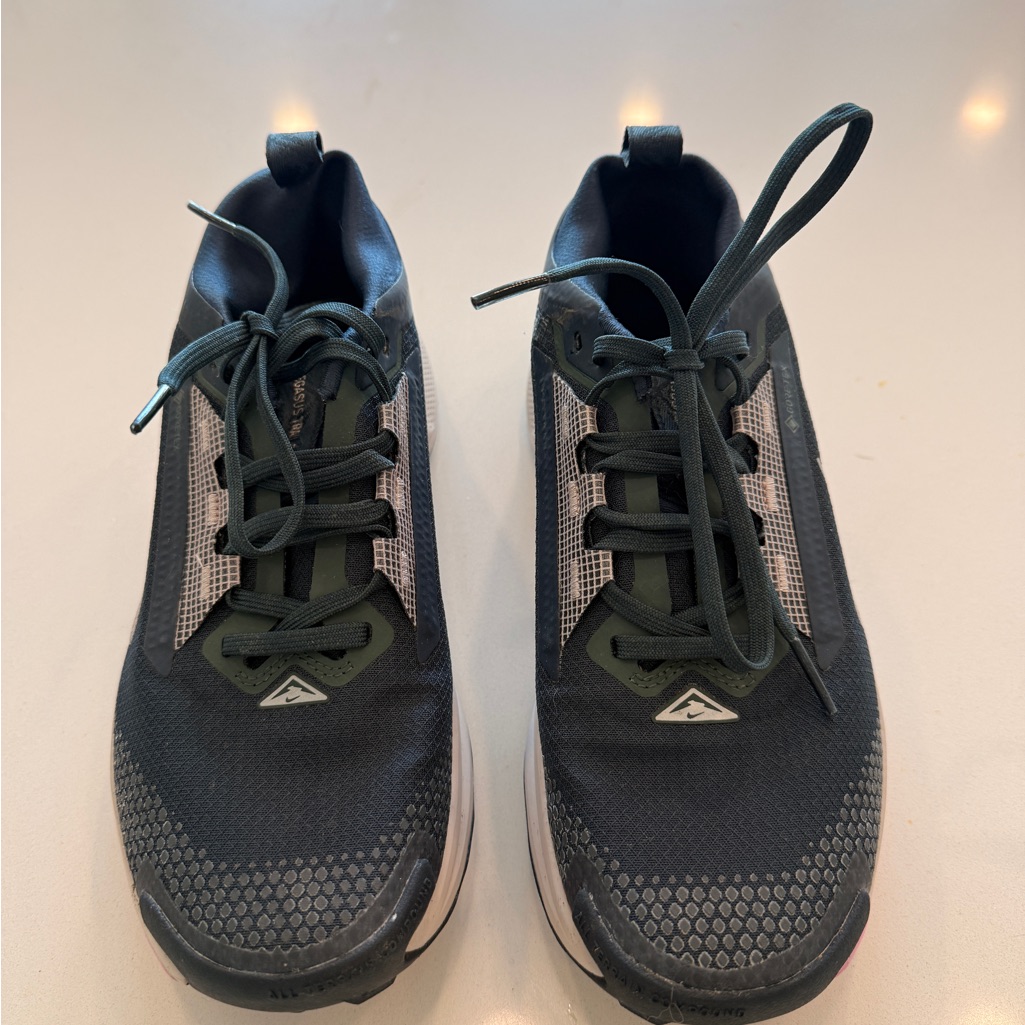 Nike Pegasus Trail 5 Gore-Tex